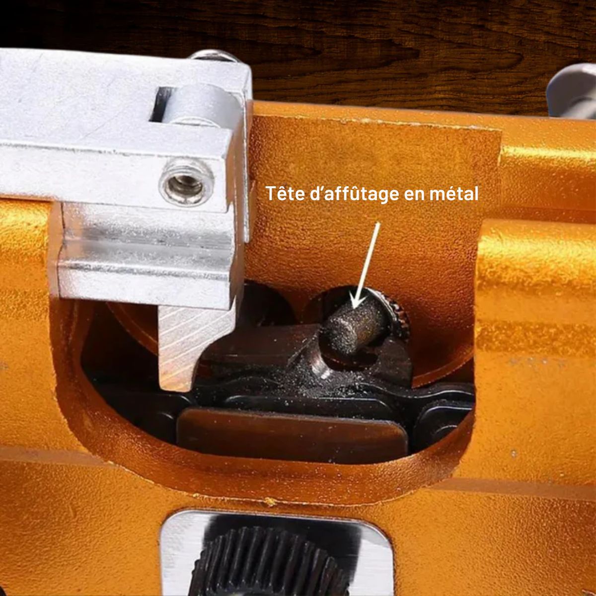Affûteur de chaîne pour tronçonneuse