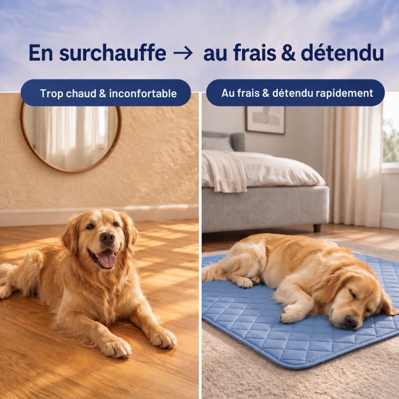 Tapis rafraîchissant pour chien et chat